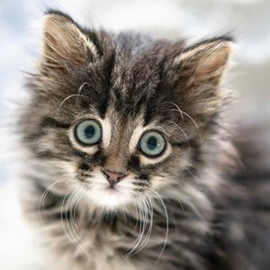 All Offers Taken Seriously 🎀 have a ‘look’